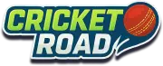 Play Cricket road